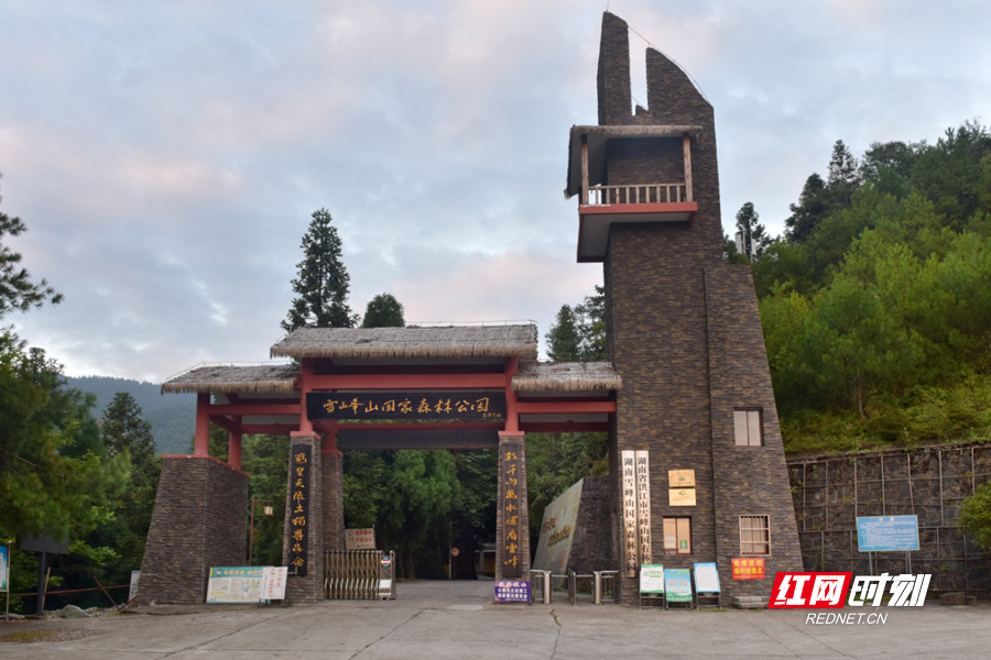 湖南雪峰山国家森林公园介绍