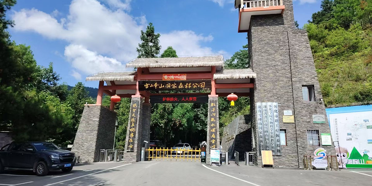 首页-关于我们